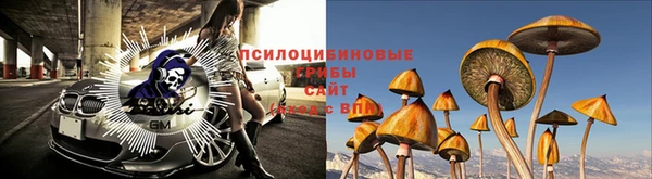 винт Алексин