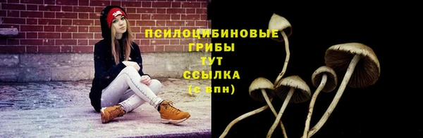 трава Алзамай